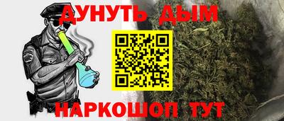 Альфа ПВП Можга