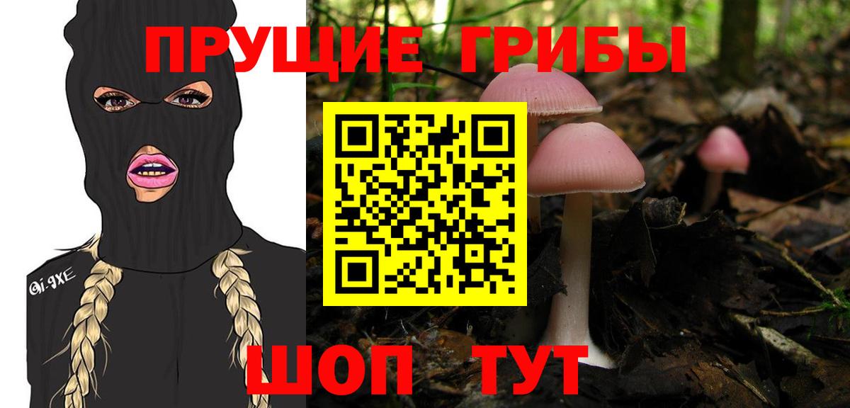 Галлюциногенные грибы Magic Shrooms  Вход с VPN  Черногорск  где купить   Галлюциногенные грибы Psilocybine cubensis 